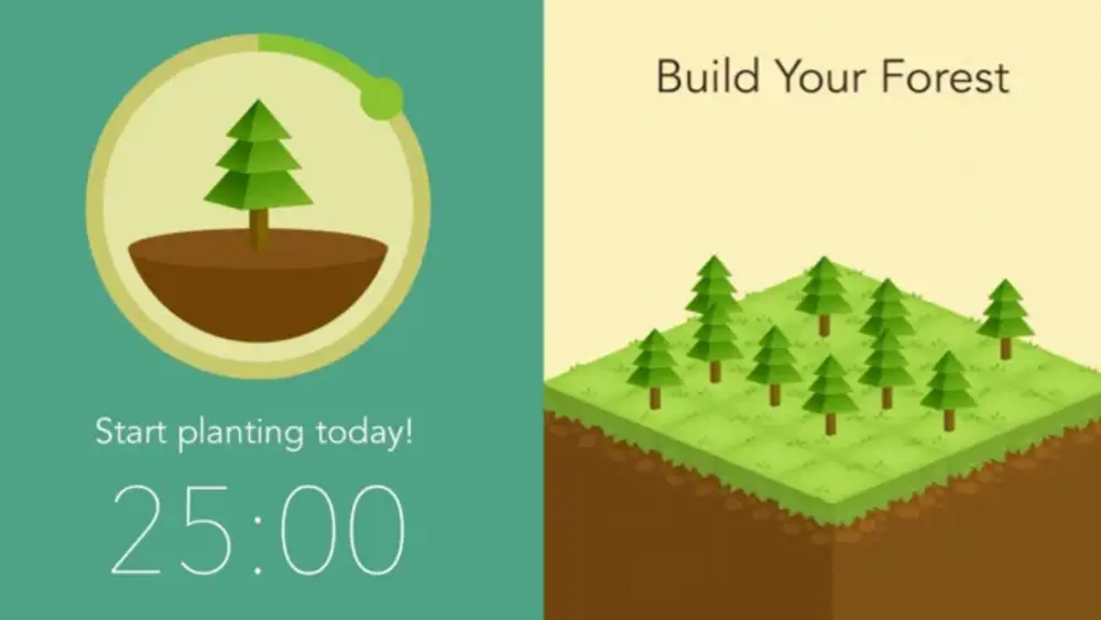 Biến mỗi phiên học Pomodoro thành một hành trình trồng cây xanh trong Forest