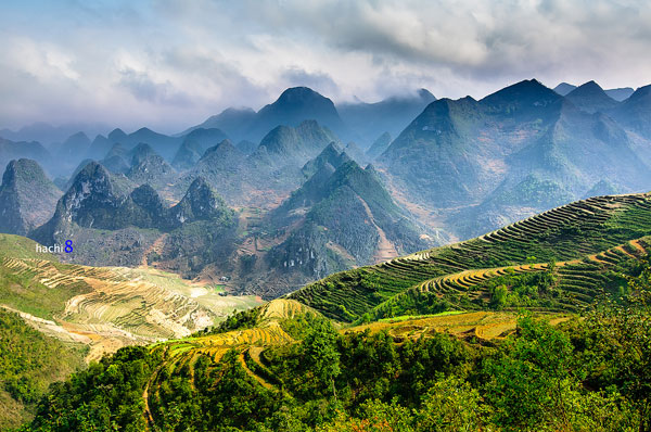 Du lịch một mình thì nên đi đâu? Gợi ý top địa điểm cực chill