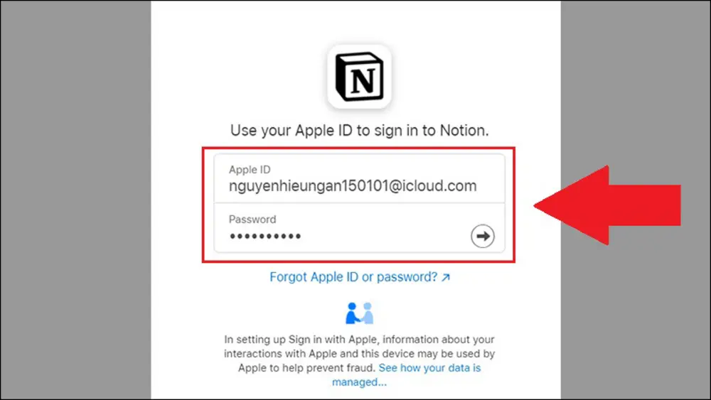Điền email và mật khẩu để đăng nhập vào Notion