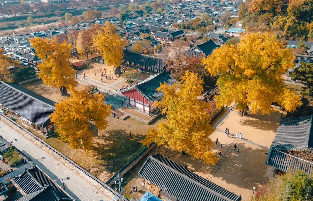Tham quan làng Hanok cổ kính tại Jeonju, Hàn Quốc